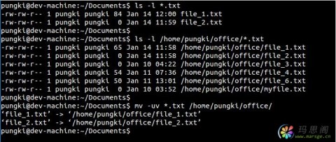 Linux：mv 命令的10个实用例子