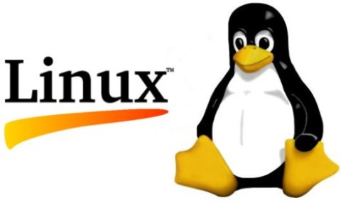 Linux：sed命令详解