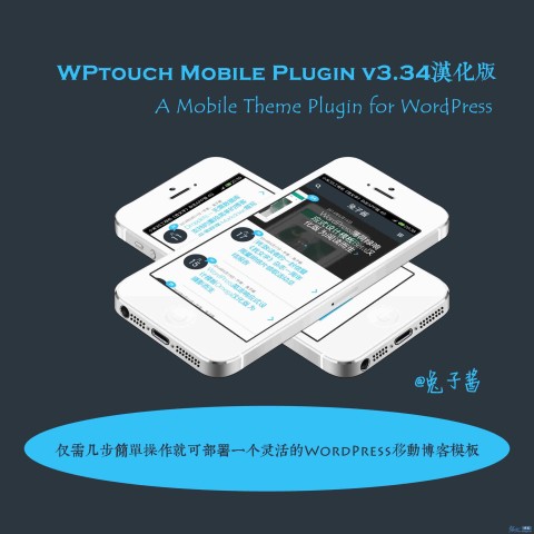 WordPress移动主题插件：Wptouch Mobile Plugin v3.34汉化版
