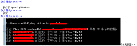 解决ping域名时出现“TTL传输中过期”的问题